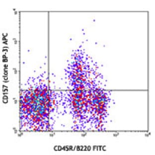APC anti-mouse CD157 (BST-1) avatar