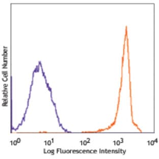 Purified anti-mouse CD90.2 (Thy1.2) avatar