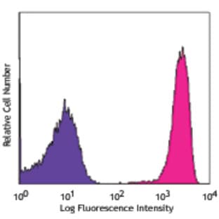 APC anti-mouse CD90.2 (Thy1.2) avatar