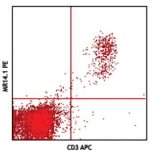 PE anti-mouse H-Y TCR