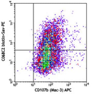 Biotin anti-mouse CD206 (MMR) avatar