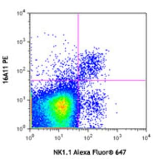 PE anti-mouse CD159a (NKG2AB6) avatar