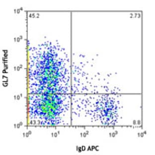 Purified anti-mouse/human GL7 Antigen (T and B cell Activation Marker) avatar