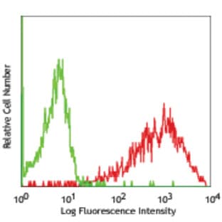 Biotin anti-rat CD86 avatar