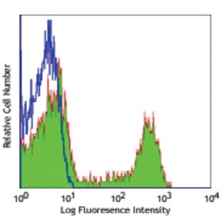 APC anti-rat CD8a avatar