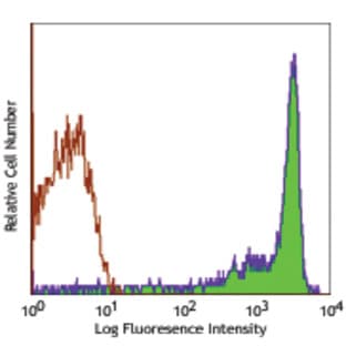 Purified anti-rat CD90/mouse CD90.1 (Thy-1.1) avatar