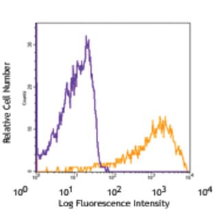 Biotin anti-rat CD90/mouse CD90.1 (Thy-1.1) avatar