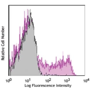 APC/Cy7 anti-rat CD90/mouse CD90.1 (Thy-1.1) avatar