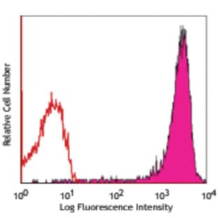 APC anti-rat CD90/mouse CD90.1 (Thy-1.1) avatar