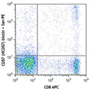 Biotin anti-human CD57