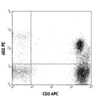Purified anti-human CD73 avatar