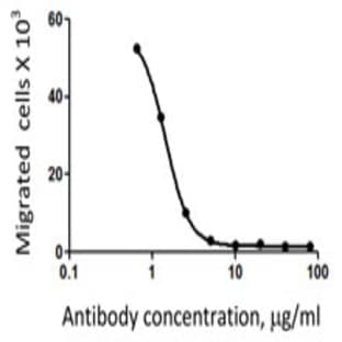 LEAF(TM) Purified anti-human CD197 (CCR7) avatar
