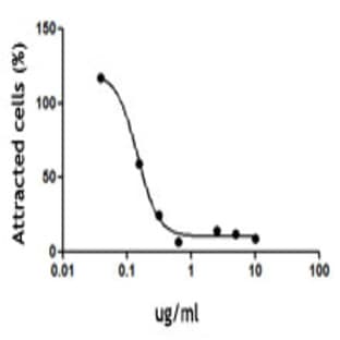 LEAF(TM) Purified anti-human CD183 (CXCR3) avatar