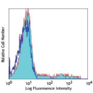 APC anti-mouse IL-12/IL-23 p40 avatar