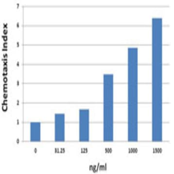 Recombinant Human CXCL9 (MIG) (carrier-free) avatar