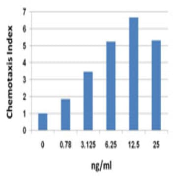 Recombinant Mouse CXCL2 (MIP-2) (carrier-free) avatar