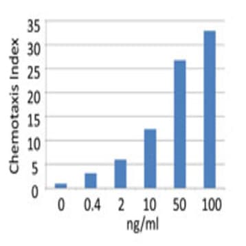 Recombinant Human CCL11 (Eotaxin) (carrier-free) avatar