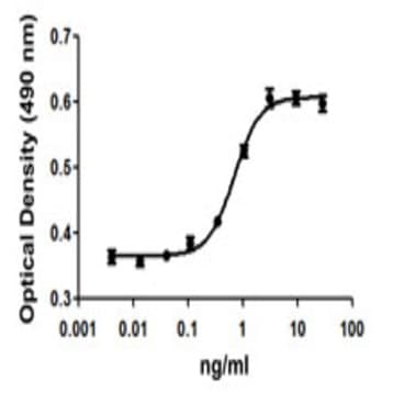 Recombinant Mouse VEGF-164 (carrier-free) avatar