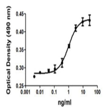 Recombinant Human VEGF-121 (carrier-free) avatar