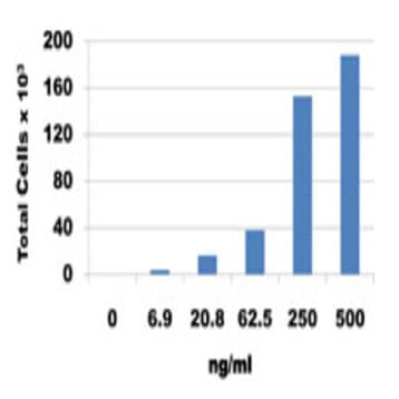 Recombinant Mouse CX3CL1 (Fractalkine) (carrier-free)