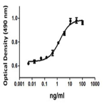 Recombinant Human VEGF-165 (carrier-free) avatar