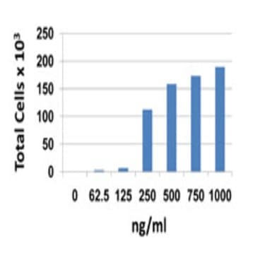 Recombinant Mouse CXCL13 (carrier-free)