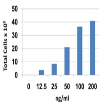 Recombinant Human CCL28 (MEC) (carrier-free) avatar