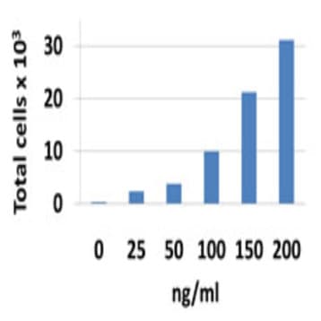 Recombinant Mouse CCL28 (MEC) (carrier-free) avatar