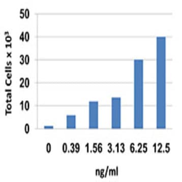 Recombinant Mouse CCL1 (I-309) (carrier-free) avatar