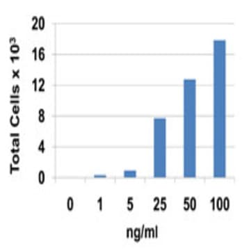 Recombinant Human CCL22 (MDC) (carrier-free) avatar