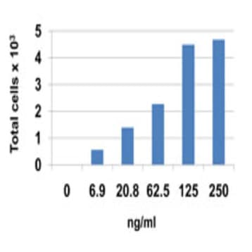 Recombinant Human CCL24 (Eotaxin-2) (carrier-free) avatar