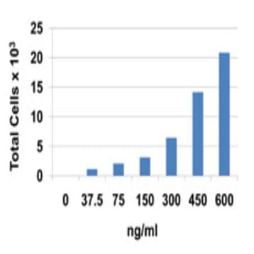 Recombinant Mouse CCL24 (Eotaxin-2) (carrier-free) avatar