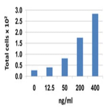 Recombinant Human CCL26 (Eotaxin-3) (carrier-free)