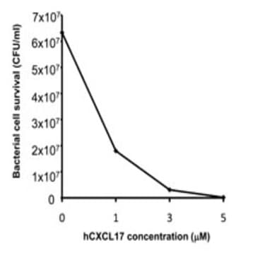 Recombinant Human CXCL17 (VCC-1) (carrier-free) avatar