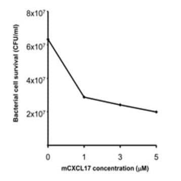 Recombinant Mouse CXCL17 (VCC-1) (carrier-free) avatar