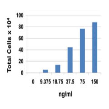Recombinant Human CCL7 (MCP-3) (carrier-free) avatar