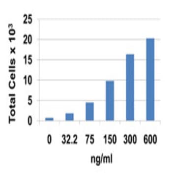 Recombinant Mouse CCL7 (MCP-3) (carrier-free)