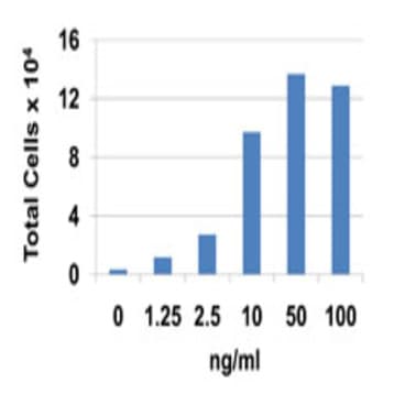 Recombinant Human CXCL6 (GCP2) (carrier-free) avatar