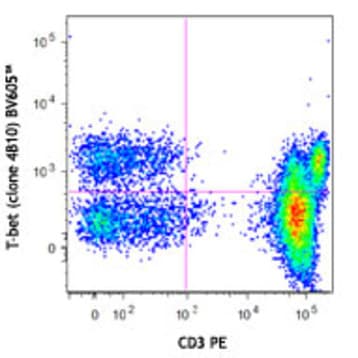 Brilliant Violet 605(TM) anti-T-bet avatar