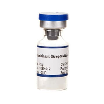 Recombinant Streptavidin