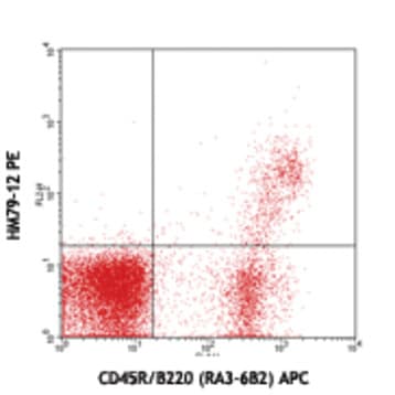 PE anti-mouse CD79b (Igbeta)