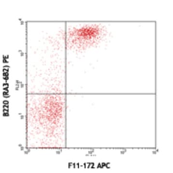 APC anti-mouse CD79a (Igalpha) avatar