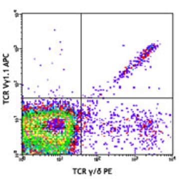 APC anti-mouse TCR Vgamma1.1/Cr4 avatar