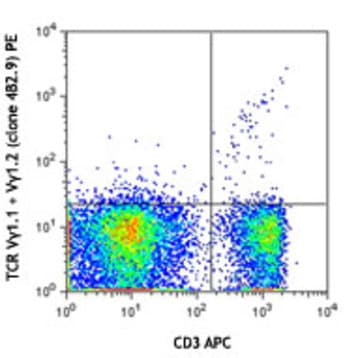 Purified anti-mouse TCR Vgamma1.1 + Vgamma1.2 avatar