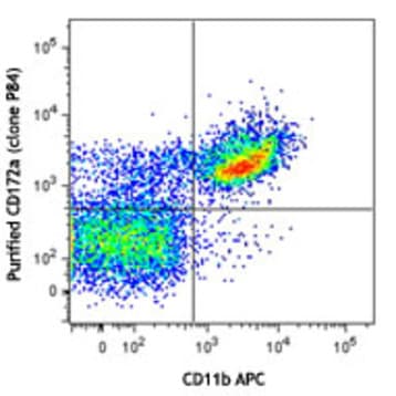LEAF(TM) Purified anti-mouse CD172a (SIRPalpha) avatar