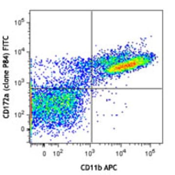 FITC anti-mouse CD172a (SIRPalpha) avatar
