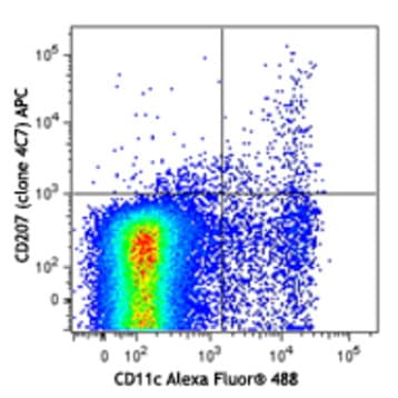 APC anti-mouse/human CD207 (Langerin) avatar