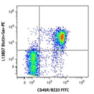 Biotin anti-mouse CD185 (CXCR5) avatar