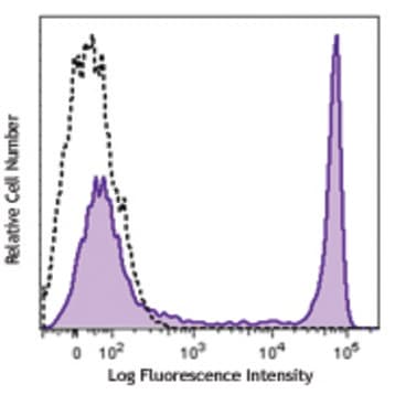 PE anti-marmoset CD8 avatar