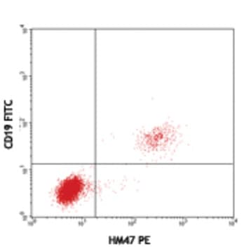 PE anti-human CD79a (Igalpha) avatar